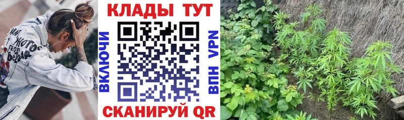 Магазины продажи наркотиков Спас-Деменск Кокаин Бошки Шишки Мефедрон APVP ГАШИШ