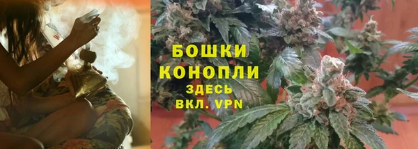 прущая мука Арсеньев