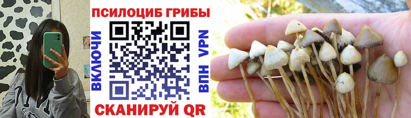 Галлюциногенные грибы Magic Shrooms Спас-Деменск